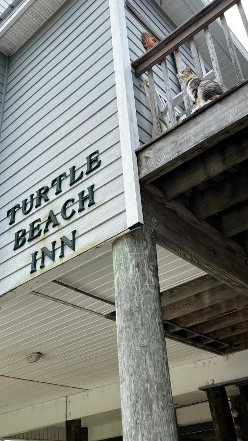 Turtle Beach Inn Indian Pass Eksteriør bilde
